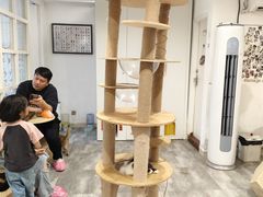 -楼上猫咖(罗湖店)