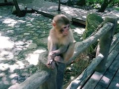 android_upload_pic-武当山风景区