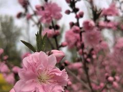 -北京动物园-畅观楼