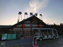-东平国家森林公园