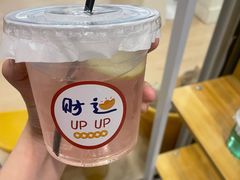 -有喵·猫咖·狗咖·30几只猫10只小狗(岗厦店)