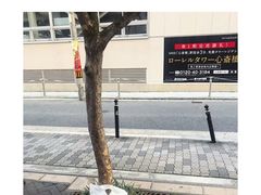 -成都濑川外国语学校