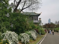 -月湖风景区