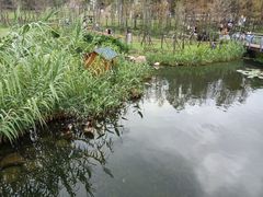 -牛岗山公园