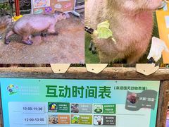 -正佳雨林生态植物园