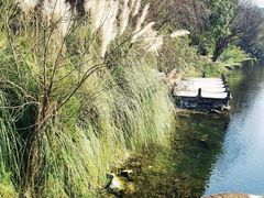 -贵阳市花溪国家城市湿地公园