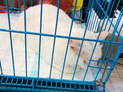 -家饰佳(宜山路店)