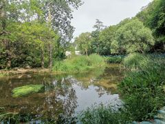 -白水寺森林公园