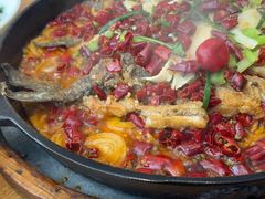 -老板恋上鱼(恒隆广场店)