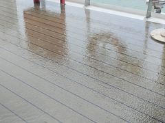 -招商蛇口邮轮母港(观光客运)