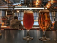野鹅ipa-Goose Island Brewhouse鹅岛精酿啤酒酿造工坊餐厅