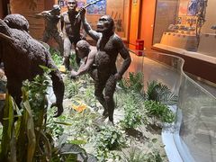 -国家自然博物馆