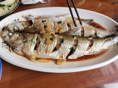 清蒸太湖白鱼-灵福缘私房菜·农家菜(拈花湾·灵山大佛必推店)