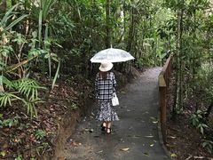 -热带雨林自然公园