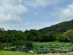 -普陀山风景名胜区-法雨禅寺