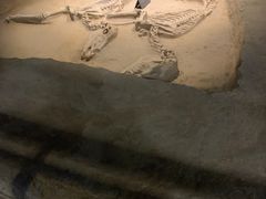 -洛阳周王城天子驾六博物馆