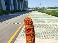 香酥鸡棒-里脊肉串店(天桥老店)