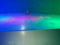-洛阳龙门海洋馆