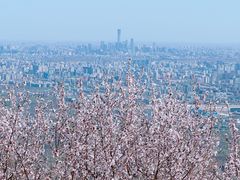 -香山公园