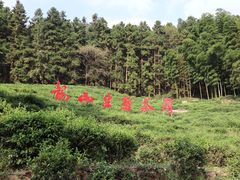 -花溪茶谷景区