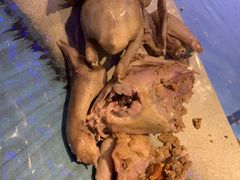 -千岛蚝高压锅生蚝·人参火锅(白云万达店)