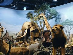 -陕西自然博物馆