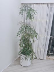 -HEYAN荷妍专业脱毛连锁机构