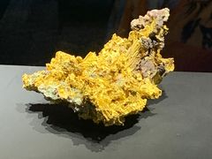 -湖南省地质博物馆