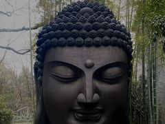 -杭州植物园