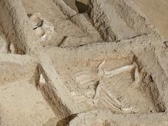 -洛阳周王城天子驾六博物馆