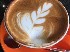 -OLD TREE老树咖啡·西餐厅(台山人工湖店)