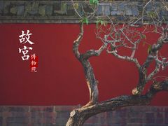 -故宫博物院(故宫)