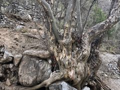 -孤山寨风景区
