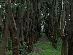 -森林公园(地铁站)