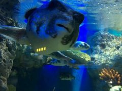 -福州罗源湾海洋世界旅游区