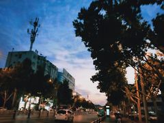 -祥源·阜阳生态乐园