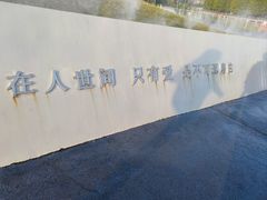 -荷兰花海