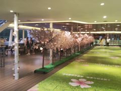 -武汉两江游览·夜游长江(汉口粤汉码头)