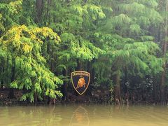 -上海海湾国家森林公园