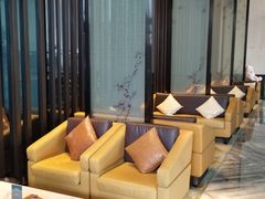-深圳温德姆至尊酒店·大堂吧·户外花园