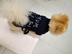 -爱侣宠医·鹦鹉专科·小型哺乳类·异宠专科(灵石路店)