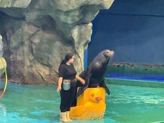 -威海华夏城景区