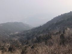 -鬼笑石后山停车场