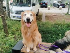 -宠福鑫康馨动物医院·骨科·眼科