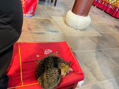 -龙华素斋(龙华路店)