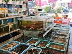 -鑫悦楼煎蟹·16年海鲜大排档