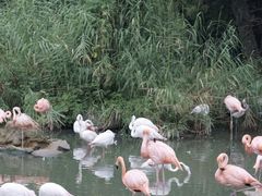 -宁波野生动物园