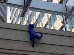 -中海环宇荟