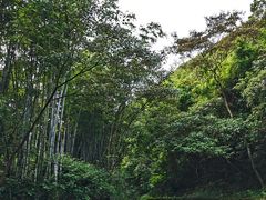 -大观园昆山峡漂流