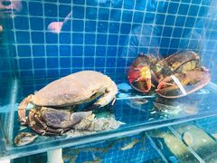-大城·烧烤海鲜大排档(台东店)